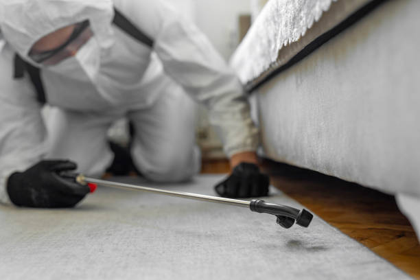 Professional Ant Control technician working in Greenville, NY