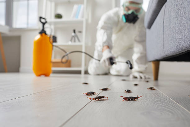 Trusted Cockroach Control service in Greenville, NY - Nex Pest Control