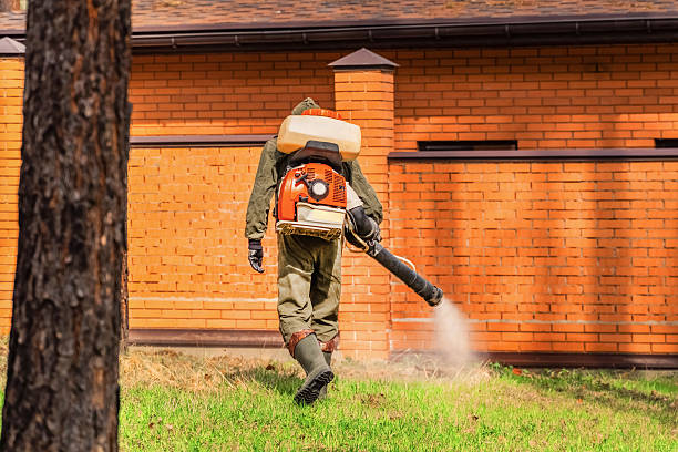 Trusted Rodent Control service in Greenville, NY - Nex Pest Control